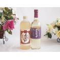 プレミアムな熟成麦焼酎と国産ワインセット夢のひととき熟成麦焼酎25°(大分県)720ml山梨県産葡萄