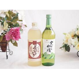 プレミアムな熟成麦焼酎と国産ワインセット夢のひととき熟成麦焼酎25°(大分県)720ml実りの収穫 