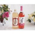 プレミアムな熟成麦焼酎と国産ワインセット夢のひととき熟成麦焼酎25°(大分県)720ml実りの収穫 