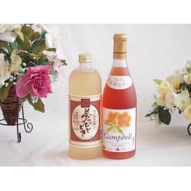 プレミアムな熟成麦焼酎と国産ワインセット夢のひととき熟成麦焼酎25°(大分県)720ml北海道の詩 