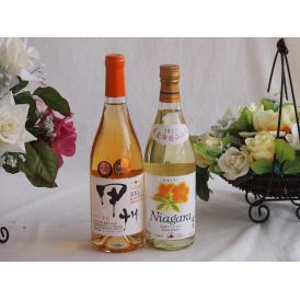 プレミアムなナイアガラワインと国産ワインセット かもし甲州 オレンジワイン 辛口(山梨県)720ml