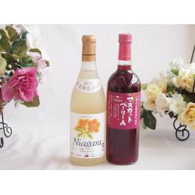 プレミアムなナイアガラワインと国産ワインセット 山梨県産葡萄100％使用 マスカットベーリーA赤ワイ