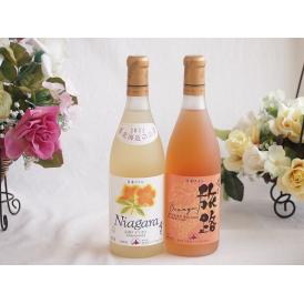 プレミアムなナイアガラワインと国産ワインセット おたる醸造 旅路orange 白ワイン やや辛口(北