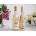プレミアムなナイアガラワインと国産ワインセット 信州りんごシードルワインやや甘口(長野県)500ml