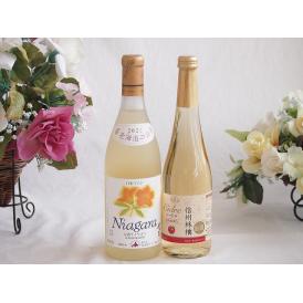 プレミアムなナイアガラワインと国産ワインセット 信州りんごシードルワインやや甘口(長野県)500ml