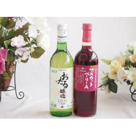 おたる生葡萄100%ナイアガラワインと国産ワイン2本セット(おたる醸造ナイアガラ白ワイン720ml山