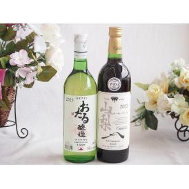 おたる生葡萄100%ナイアガラワインと国産ワイン2本セット(おたる醸造ナイアガラ白ワイン720ml山
