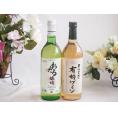 おたる生葡萄100%ナイアガラワインと酸化防止剤無添加ワイン2本セット(おたる醸造ナイアガラ白ワイン