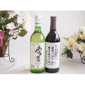 おたる生葡萄100%ナイアガラワインと国産ワイン2本セット(おたる醸造ナイアガラ白ワイン720ml酸