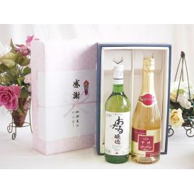 夏の贈り物お中元 感謝の贈り物ボックス おたる生葡萄100%ナイアガラワインと国産ワイン2本セット(甲州スパークリング