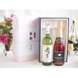 夏の贈り物お中元 感謝の贈り物ボックス おたる生葡萄100%ナイアガラワインと国産ワイン2本セット(塩尻コンコードスパ