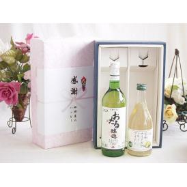 夏の贈り物お中元 感謝の贈り物ボックス おたる生葡萄100%ナイアガラワインと国産ワイン2本セット(信州のナイアガラを