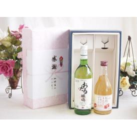 夏の贈り物お中元 感謝の贈り物ボックス おたる生葡萄100%ナイアガラワインと国産ワイン2本セット(信州のりんごを使っ