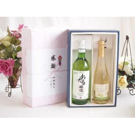 夏の贈り物お中元 感謝の贈り物ボックス おたる生葡萄100%ナイアガラワインと国産ワイン2本セット(信州シャインマスカ