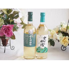 長野県産葡萄ナイアガラ種使用ワインと国産ワイン2本セット(実りの収穫 白辛口ワイン 辛口(山梨県)7