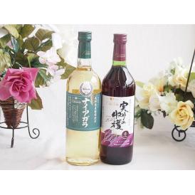長野県産葡萄ナイアガラ種使用ワインと国産ワイン2本セット(実りの収穫 赤ワイン やや甘口(山梨県)7