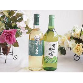長野県産葡萄ナイアガラ種使用ワインと国産ワイン2本セット(実りの収穫 白甘口ワイン 甘口(山梨県)7