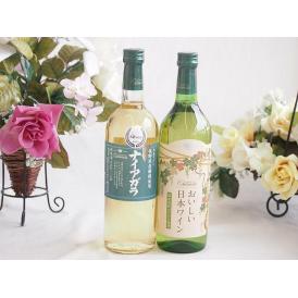 長野県産葡萄ナイアガラ種使用ワインと国産ワイン2本セット(国産葡萄100％使用 おいしい日本ワイン 