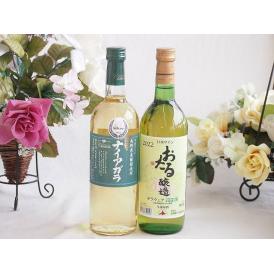 長野県産葡萄ナイアガラ種使用ワインと国産ワイン2本セット(おたる醸造 デラウエア 白ワイン やや甘口