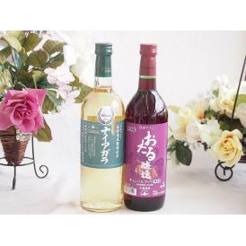 長野県産葡萄ナイアガラ種使用ワインと国産ワイン2本セット(おたる醸造 キャンベルアーリ赤ワイン 辛口