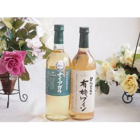 長野県産葡萄ナイアガラ種使用ワインと酸化防止剤無添加ワイン2本セット(酸化防止剤無添加 契約農場の有