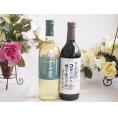 長野県産葡萄ナイアガラ種使用ワインと国産ワイン2本セット(酸化防止剤無添加 信州コンコード赤ワイン 