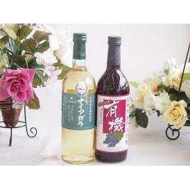 長野県産葡萄ナイアガラ種使用ワインと酸化防止剤無添加 ワイン2本セット(酸化防止剤無添加 有機あずさ