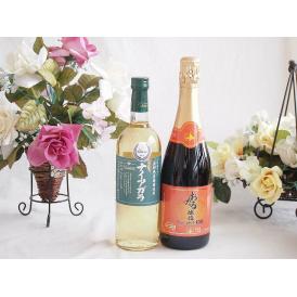 長野県産葡萄ナイアガラ種使用ワインと国産ワイン2本セット(おたる醸造 キャンベル赤スパークリングワイ
