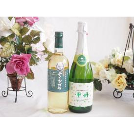 長野県産葡萄ナイアガラ種使用ワインと国産ワイン2本セット(勝沼仕込みの甲州白スパークリングワインやや