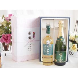 長野県産葡萄ナイアガラ種使用ワインと国産ワイン2本セット(シャンモリ デラウエア オレンジワインやや