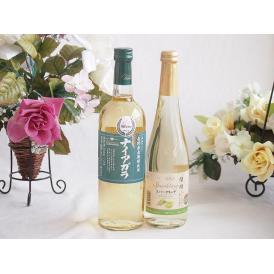 長野県産葡萄ナイアガラ種使用ワインと国産ワイン2本セット(信州シャインマスカット＆ナイアガラ スパー