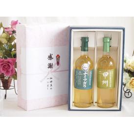 夏の贈り物お中元 感謝の贈り物ボックス 長野県産葡萄ナイアガラ種使用ワインと国産ワイン2本セット(山梨県産葡萄100％