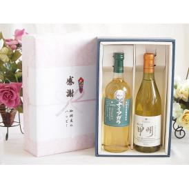 夏の贈り物お中元 感謝の贈り物ボックス 長野県産葡萄ナイアガラ種使用ワインと国産ワイン2本セット(勝沼産 甲州 白ワイ
