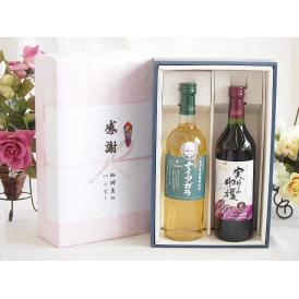 夏の贈り物お中元 感謝の贈り物ボックス 長野県産葡萄ナイアガラ種使用ワインと国産ワイン2本セット(実りの収穫 赤ワイン