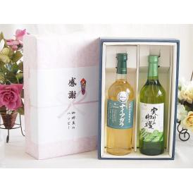 夏の贈り物お中元 感謝の贈り物ボックス 長野県産葡萄ナイアガラ種使用ワインと国産ワイン2本セット(実りの収穫 白甘口ワ