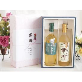 感謝の贈り物ボックス 長野県産葡萄ナイアガラ種使用ワインと国産ワイン2本セット(にごり甲州 白ワイン
