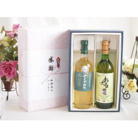 感謝の贈り物ボックス 長野県産葡萄ナイアガラ種使用ワインと国産ワイン2本セット(おたる醸造 デラウエ