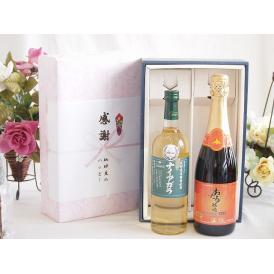 夏の贈り物お中元 感謝の贈り物ボックス 長野県産葡萄ナイアガラ種使用ワインと国産ワイン2本セット(おたる醸造 キャンベ