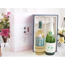 夏の贈り物お中元 感謝の贈り物ボックス 長野県産葡萄ナイアガラ種使用ワインと国産ワイン2本セット(勝沼仕込みの甲州白ス