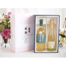 感謝の贈り物ボックス 長野県産葡萄ナイアガラ種使用ワインと国産ワイン2本セット(信州シャインマスカッ