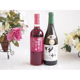 山梨県産葡萄マスカットベーリーA種使用ワインと国産ワイン2本セット(柑橘香 穂坂甲州 白ワイン 辛口