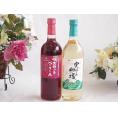 山梨県産葡萄マスカットベーリーA種使用ワインと国産ワイン2本セット(実りの収穫 白辛口ワイン 辛口(