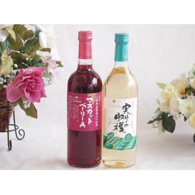 山梨県産葡萄マスカットベーリーA種使用ワインと国産ワイン2本セット(実りの収穫 白辛口ワイン 辛口(