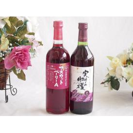山梨県産葡萄マスカットベーリーA種使用ワインと国産ワイン2本セット(実りの収穫 赤ワイン やや甘口(