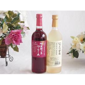 山梨県産葡萄マスカットベーリーA種使用ワインと国産ワイン2本セット(にごりデラ 白ワイン やや甘口(