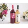山梨県産葡萄マスカットベーリーA種使用ワインと酸化防止剤無添加ワイン2本セット(酸化防止剤無添加 契