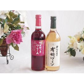 山梨県産葡萄マスカットベーリーA種使用ワインと酸化防止剤無添加ワイン2本セット(酸化防止剤無添加 契