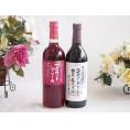 山梨県産葡萄マスカットベーリーA種使用ワインと国産ワイン2本セット(酸化防止剤無添加 信州コンコード