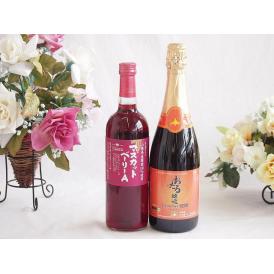 山梨県産葡萄マスカットベーリーA種使用ワインと国産ワイン2本セット(おたる醸造 キャンベル赤スパーク