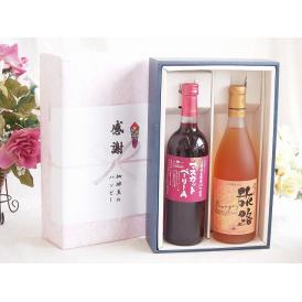 夏の贈り物お中元 感謝の贈り物ボックス 山梨県産葡萄マスカットベーリーA種使用ワインと国産ワイン2本セット(おたる醸造
